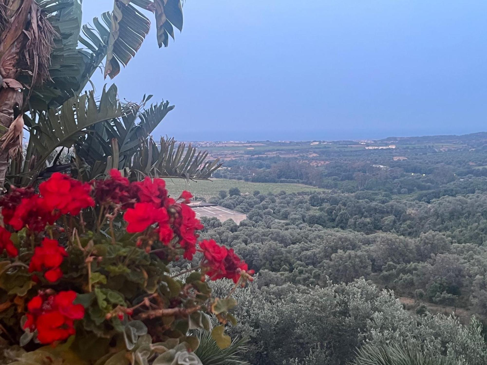 Agriturismo Catena Ciro Esterno foto